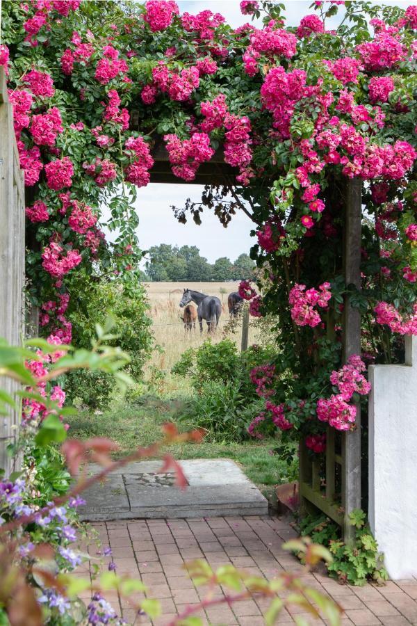 Villa Verde Oesterlen Glemminge Luaran gambar